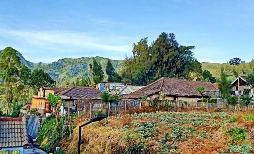 Holiday Home Anggun Bromo