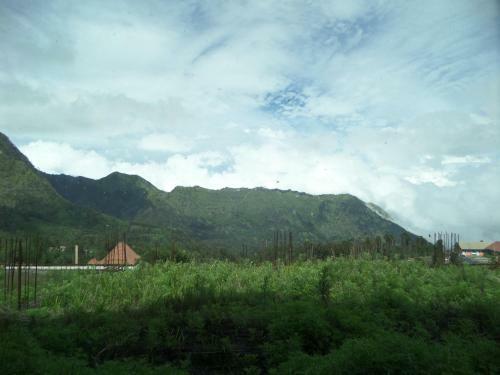 Hotel Bromo Permai 1