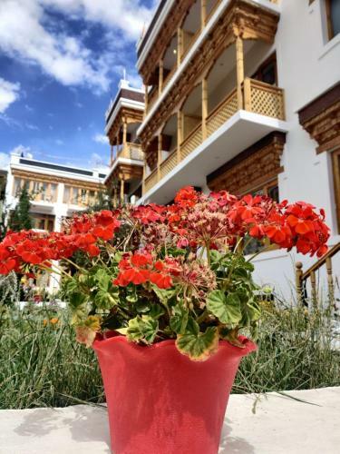 Hotel Jigmet, Leh