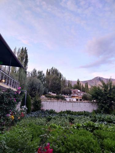 Hostal Zeejeed Palace