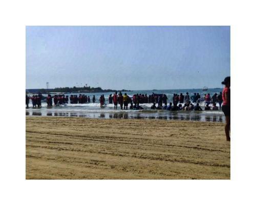 Seacoast Homestays