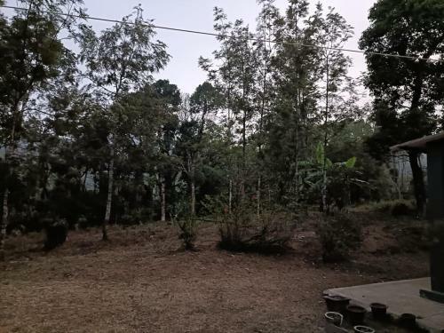 The Nirvana's B&b,madikeri