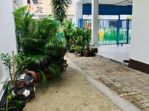 Albergue Baan Chang Guesthouse