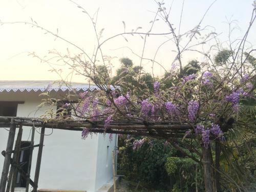Agroturismo Quo Vadis Farm