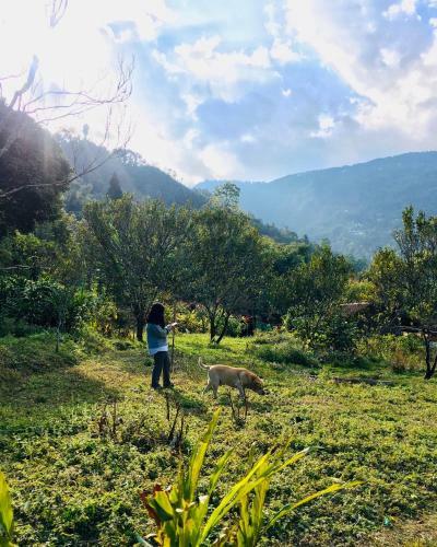 Agroturismo Quo Vadis Farm