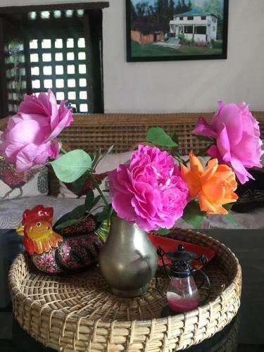 Agroturismo Quo Vadis Farm