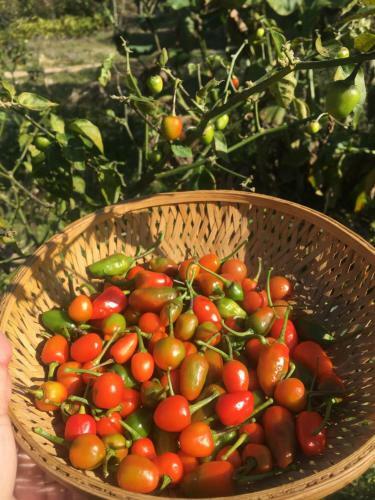 Agroturismo Quo Vadis Farm