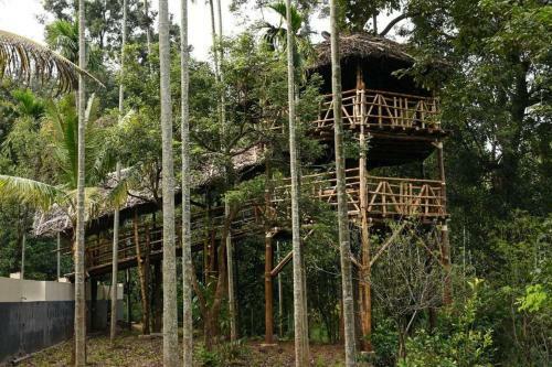Vanajyotsna Forest Home