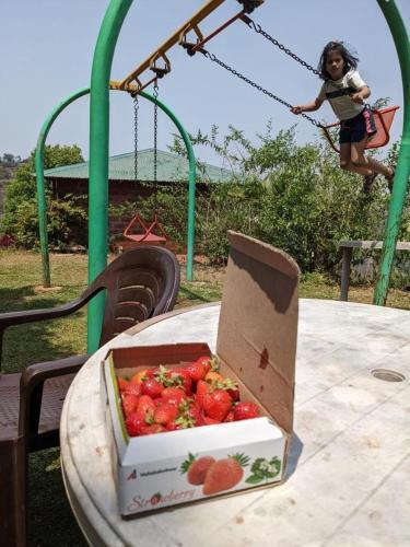 Gurusparsh Agroo Resort