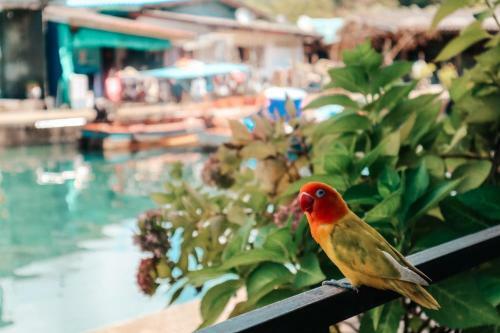 Hostal Baan Rabieng Talay Homestay??????????????? ???????????????