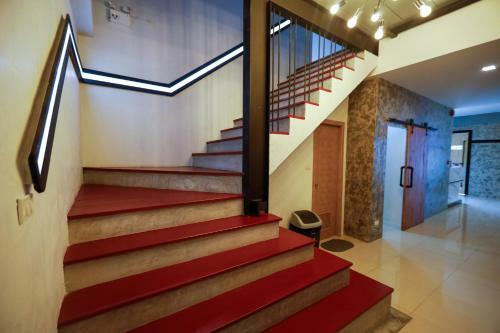 Albergue Tall Tree Kata Phuket