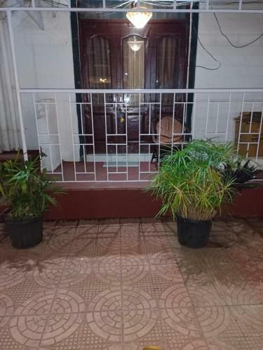 Hotel Alanapoolstay