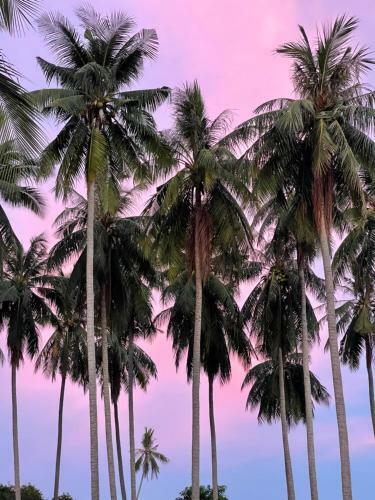 Hotel Marilyn?s Resort Koh Samui