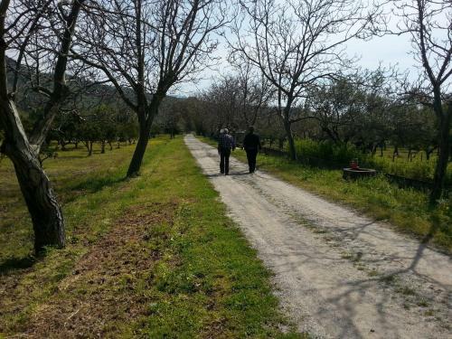 Agroturismo I Cedri Agriturismo