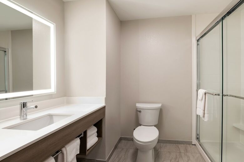 Hotel Holiday Inn Opelousas