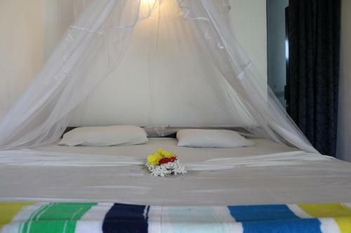Hostal Manel Guest House