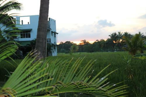 Hostal Manel Guest House