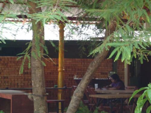Hostal The Senaro Holiday Inn