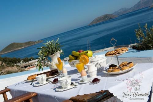 Apartamento Leros Windmills