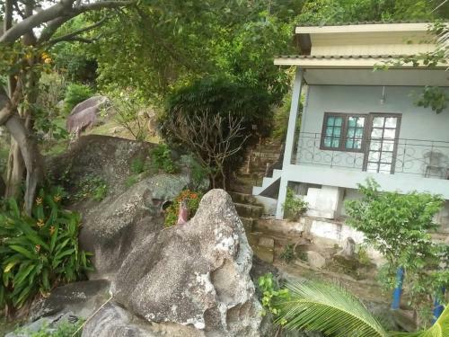 Hotel Rocky Resort
