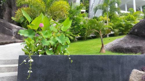 Villa The Plantation Koh Tao