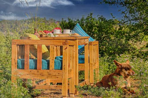 Villa Saffronstays El Sueno