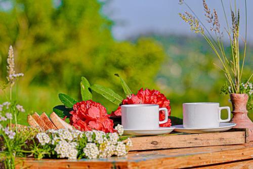 Villa Saffronstays El Sueno