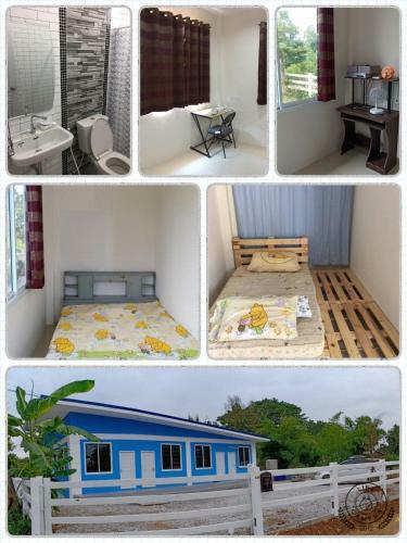 Blue House