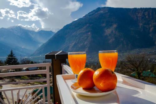 Hotel Anand Vardhan Resorts
