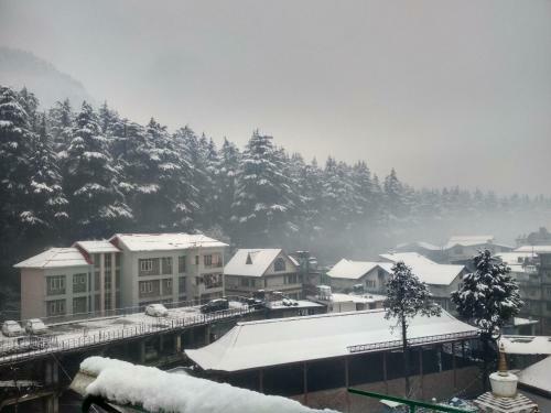 Hotel Snow Mountain Manali