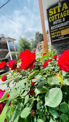 Sita Cottage Hotel And Restaurant