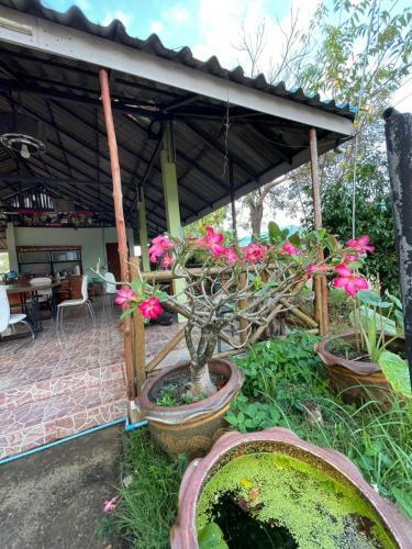 Hotel ???? ??????? ??????-phet Resort, Nakhonthai