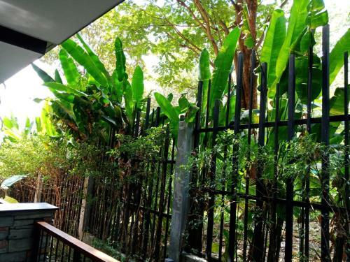Apartamento Beautiful Green Balcony