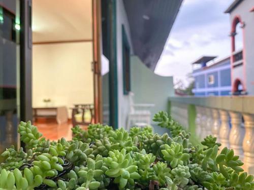 Hostal Pichnaree Guest House