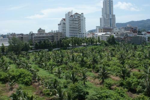 Patong Dynasty Hotel New Management