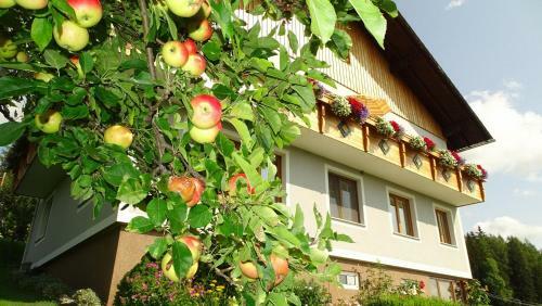 Apartamento Ferienwohnung Greim