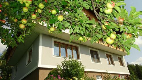 Apartamento Ferienwohnung Greim