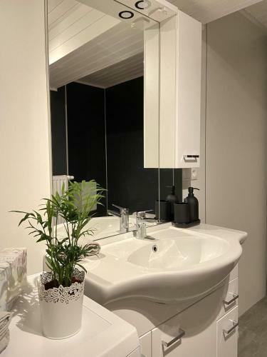 Apartment Monas Home