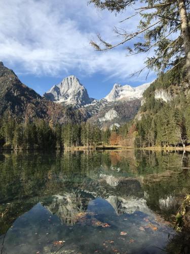 Apartment Monas Home