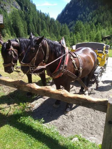 Apartamento Appartment Sandra Obkircher
