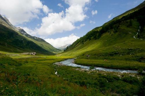 Apartamento Ferienwohnungen-schett
