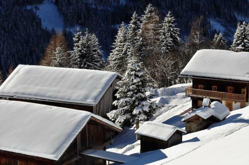 Ferienhaus Seina-zeit