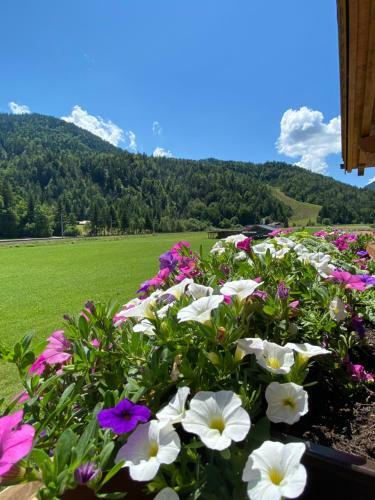 Apartamento Landhaus Mair