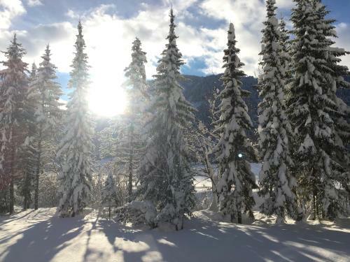 Apartamento Karwendel-lodge