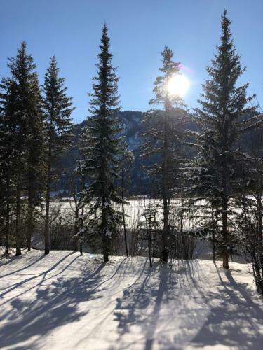 Apartamento Karwendel-lodge