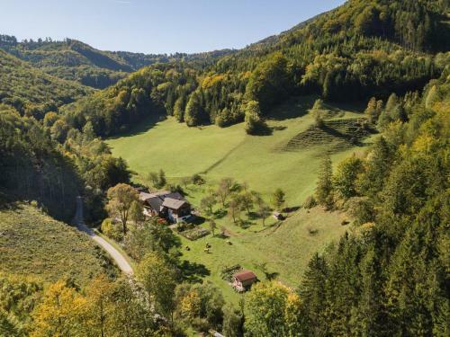 Apartamento Urlaub Mitten Im Wald - Lueg