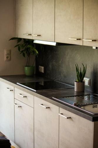 Living Apartment Maurer
