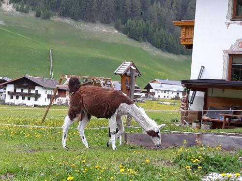 Apartamento Thumeserhof