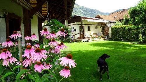 Ferienhaus-bungalow Heidi