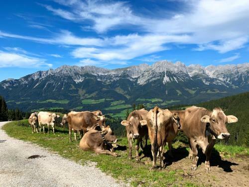 Apartamento Traumhafte Lage, Einzigartiges Panorama